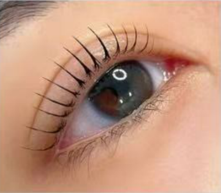 Lash lifting style reference from the September 2026 Lashberry House menu.